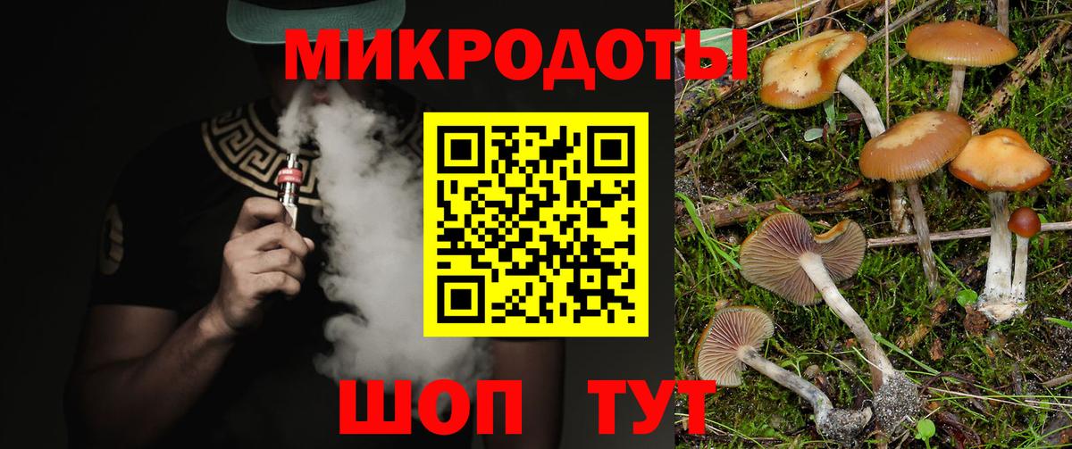 Галлюциногенные грибы мицелий  Вход с VPN  Галлюциногенные грибы Psilocybine cubensis  как найти закладки  Ейск 