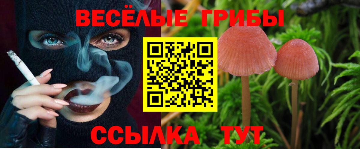 Галлюциногенные грибы Magic Shrooms Ейск